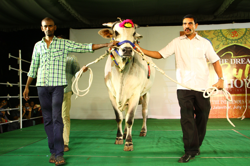 Ankush Bull Show (2016)