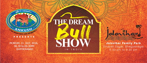 Bull Show(2016)